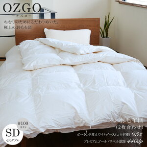 [IYS] I[V[YHѕzc|[hYzCgO[X95(RE_)Z~_uTCYi170×210cmj#100ȁ@TCYI[_[ozgo Hѕzc n  i fGbg(2킹)