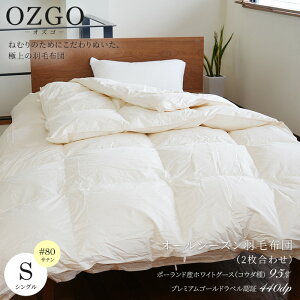 [IYS] I[V[YHѕzc|[hYzCgO[X95(RE_)VOTCYi150×210cmj#80ȁ@TCYI[_[ozgo Hѕzc n  i fGbg(2킹)|