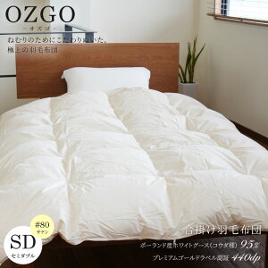 [IYS] |HѕzcitHpj|[hYzCgO[X95(RE_)Z~_uTCYi170×210cmj#80ȁ@TCYI[_[ozgo Hѕzc n  i