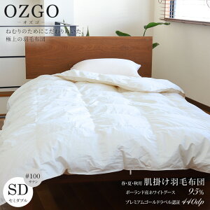 [IYS] |Hѕzcitėpj|[hYzCgO[X95(RE_)Z~_uTCYi170×210cmj#100ȁ@TCYI[_[|zc ėp Hѕzc | H _EPbg