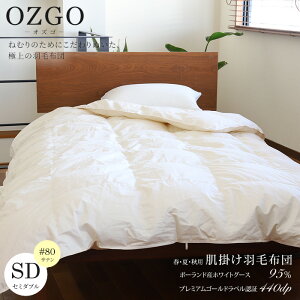 [IYS] |Hѕzcitėpj|[hYzCgO[X95(RE_)Z~_uTCYi170×210cmj#80ȁ@TCYI[_[ozgo Hѕzc n  i _EPbg