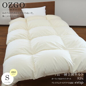 [IYS] ~p1w̃LgHѕzc|[hYzCgO[X95(RE_)VOTCYi150×210cmj#80ȁ@TCYI[_[ozgo Hѕzc n  i |zc  H