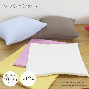 NbVJo[yS12FzTCYF40×25cmiăNbVTCYjnF|GXe100ihnj An J[ Lx