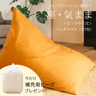 【期間限定！補充ビーズ(20L)1袋付き！〜6/11(木)9:59】【公式】 ビーズクッション 「座・気まま」ツムギ…