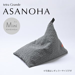 �y���Ԍ���̔��z�y�����ztetra Grande ASANOHA - �A�T�m�n -�~�j�T�C�Y�iW45×D45×H45cm�j�r�[�Y�N�b�V���� �i�J�o�[�����O�^�C�v�j�O�p �������� �w������ �M�t�g ����������[ �e�g�� �N�b�V���� 