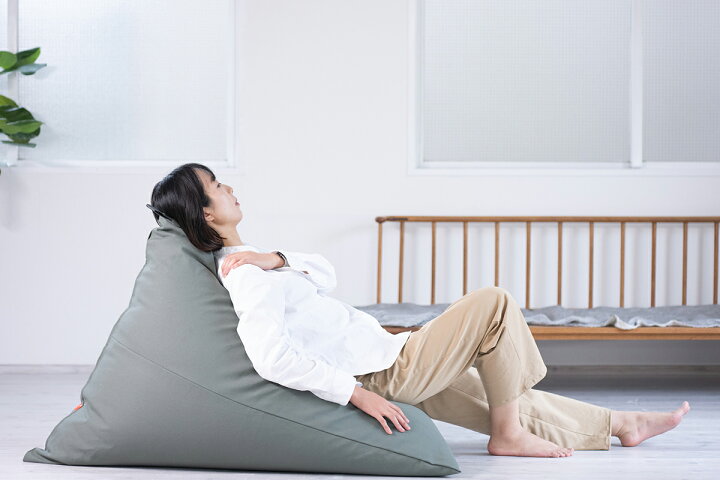 楽天市場】【公式】 tetra 8号帆布ビッグサイズ(W95cm×D115cm×H95cm 