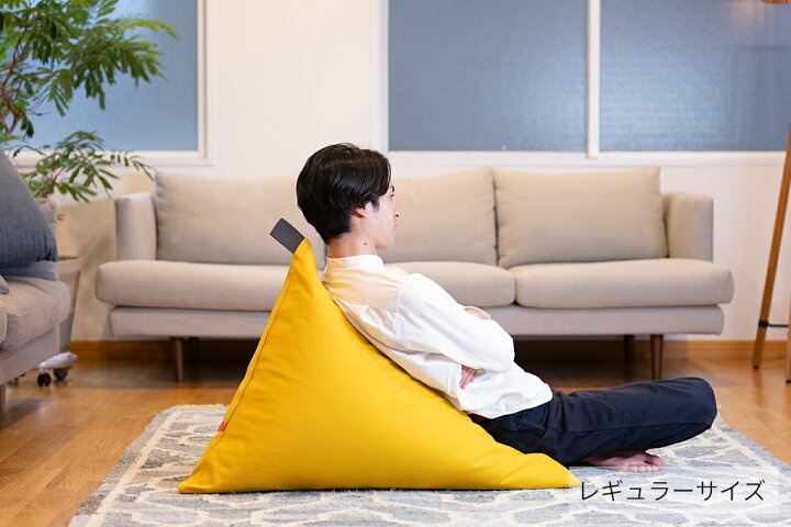 楽天市場】【公式】 tetra 8号帆布レギュラーサイズ(W70×D88×H70cm 
