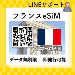 esim tX  vyChSIM QRR[hsp Iׂv f[^ʐMp(dbԍȂ) simt[[̂ݑΉ pX|[gsv s葱sv 1 3 5 10 1