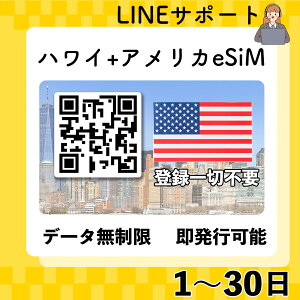 Ԍ10%N[|AJ nC eSIM  QRR[hsp Iׂv f[^ʐMp(dbԍȂ) simt[[̂ݑΉ pX|[gsv s葱sv 1