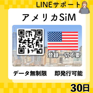 Ԍ10%N[|AJ esim 30 ŒZ30QRR[hsp  f[^ʐMp(dbԍȂ) simt[[̂ݑΉ }jAt pX|[gsvEs