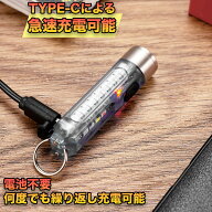 懐中電灯 ハンディライト ミニサイズ 超小型 キーホルダー懐中電灯 led 強力 USB充電式 防水 コンパクト …