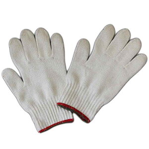 (340) p 100% ȌR { 12o ̏߂̒j