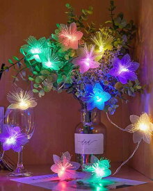 Unikato フェアリーライト ファイバーライト LEDストリングライト USB式 暖かい白/カラー 花 電飾 クリスマス飾り 誕生日 結婚式 新年 祭り 飾りライト 雰囲気作り