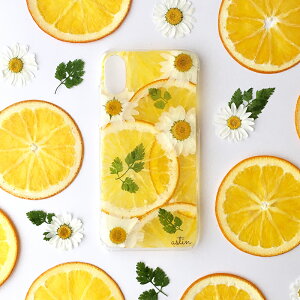 n[uƊkn@ X}zP[X S@Ή X}zV_[ ύX iphone16 iphone15 iphone14 iphone16pro iphone13 iphone16promax iphone12 AhCh iphone16plus iphone15pro iphone14pro V_[ iphonese