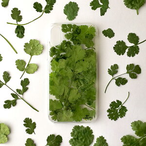 pN`Xĝ߂̃pN`[  X}zP[X S@Ή X}zV_[ ύX iphone16 iphone15 iphone14 iphone16pro iphone13 iphone16promax iphone12 AhCh iphone16plus iphone15pro iphone14pro V