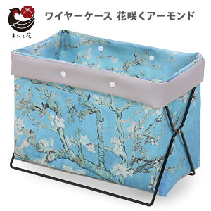 C[P[X ԍ炭A[h Sbz }KWbN ו TChS ܂肽 S~  900-79