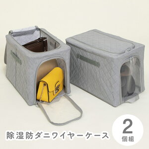 ワイヤー入り 収納ケース 除湿 防ダニ グレー 2個組 25×40×高28cm 不織布 吸湿繊維入り 積み重ね可能 衣類 バッグ 鞄 帽子 ハット キャップ 収納ボックス 保管ケース ダブルファスナー 持ち手