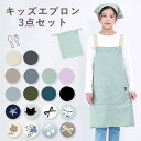 かぶるだけ！ はっ水 軽量 薄手で丈夫な速乾エプロン 3点セット 男の子 女の子 三角巾 収納袋 撥水 速乾 調理実習 ク…