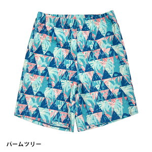 Ci[ ̂т̂ T[tpc  Lk n LbY j̎q V[gpc XCpc r[`  p n[tpc sp018 scΏ