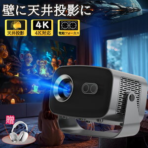 vWFN^[ ƒp dtH[JX ^ V䓊e X}zƌq 4KΉ android  26000LMPx Netflix/YouTubeb Android 13 É `␳ 5G wi-fi 6 Bluetooth z[VA^[ q HDM