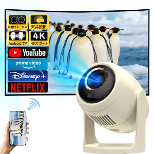 y2025ViEtH[JXzvWFN^[ ^ ƒp V䓊e X}zƌq 1080P&4KΉ tH[JX `␳ Px Netflix/YouTubeb android X}z 掿É 5G wi-fi6 Bluetooth