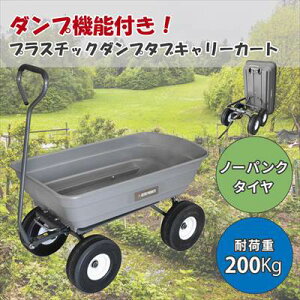 AP vX`bN_v^uL[J[g | K[fjO ^ AEghA 낢 m[pN^C 200kg  d