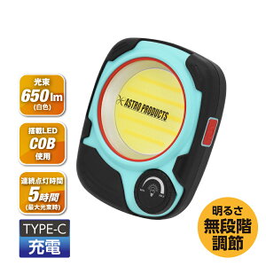 [d [NCg WL941 | ƗpCg Ɩ nfB dC  Ï d Ɠ 650lm LED AXgv_Nc