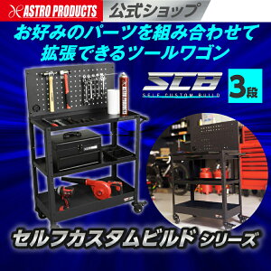 AXgv_Nc c[S 3i TW252-SCB | [ K[WS   DIY SCBS