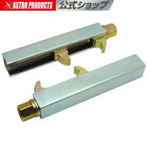 [^[TCNRCXvORvbT[ AXgv_Nc oCN eiX