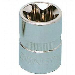 SIGNET 12152 3/8DR E6 wNX[u\Pbg (E^)yVOlbgz