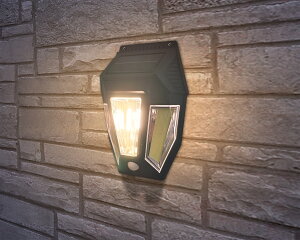 [}\OP2{] FS-805 Eco-PikaZT[Cg3