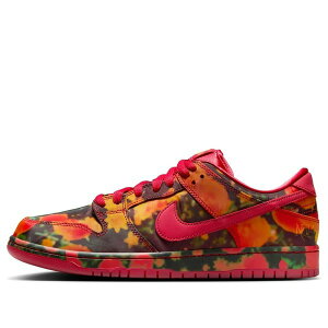 Nike �i�C�L �����Y �X�j�[�J�[ �_���N �yNike SB Dunk Low 'The Wizard Of Oz' FZ1291-600�z �T�C�Y US_5.5(23.5cm)