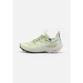 サロモン レディース フィットネス スポーツ ELIXIR ACTIV GTX - Hiking shoes - celadon green/glacier gray/phantom
