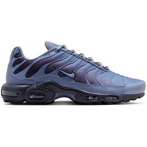 Nike iCL Y Xj[J[ yNike Air Max Plus World Indigoz TCY US_11(29.0cm) World Indigo/Cave Purple/Black/World Indigo