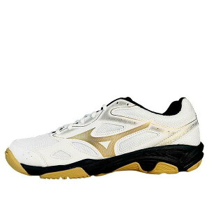 Mizuno ~Ym Y Xj[J[ yMizuno Sky Blaster 'SlipResistant Durable Low Badminton' 71GA234601z TCY US_6.5(24.5cm)