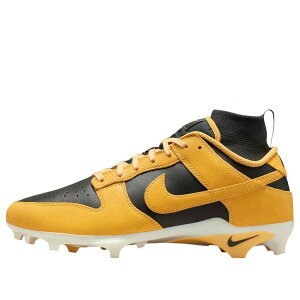 Nike �i�C�L �����Y �X�j�[�J�[ �yNike Dunk Low Alpha Menace 'Iowa' HV6925-001�z �T�C�Y US_10(28.0cm)