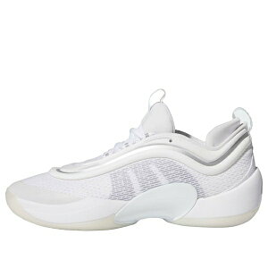 adidas �A�f�B�_�X �����Y �X�j�[�J�[ �yadidas D.O.N Issue #6 'White Silver Metallic' IG9088�z �T�C�Y US_7(25.0cm)