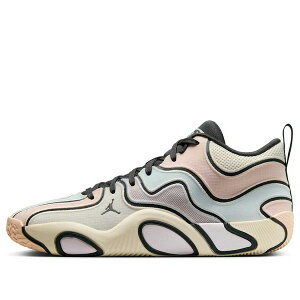 Air Jordan �W���[�_�� �����Y �X�j�[�J�[ �yAir Jordan Tatum 3 PF 'Sidewalk Chalk' FZ6601-008�z �T�C�Y US_9.5(27.5cm)