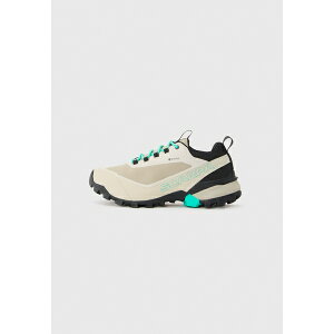 XJp fB[X nCLO X|[c RIBELLE CROSS 2 GTX - Hiking shoes - fog/aqua green