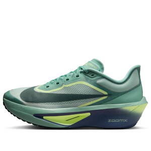 Nike �i�C�L �����Y �X�j�[�J�[ �yNike Zoom Fly 6 'Cannon Light Silver' FN8454-003�z �T�C�Y US_M_15