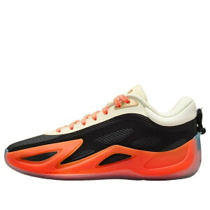 Jordan �W���[�_�� �����Y �X�j�[�J�[ �yAir Jordan Heir Series 2 'Birds Of Paradise' II0568-001�z �T�C�Y US_12.5(30.5cm)