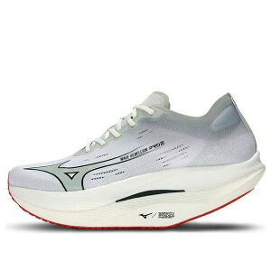 Mizuno �~�Y�m �����Y �X�j�[�J�[ �yMizuno Wave Rebellion Pro 2 'Grey' U1GD241701�z �T�C�Y US_10(28.0cm)