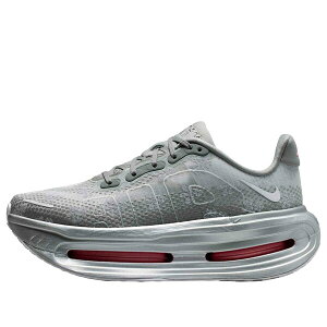 Nike �i�C�L ���f�B�[�X �X�j�[�J�[ �y(WMNS) Nike Air Zoom Vomero Premium 'Geyser Grey Metallic Silver' IQ0028-001�z �T�C�Y US_5(22.0cm)