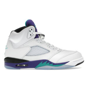 Jordan �W���[�_�� �����Y �X�j�[�J�[ �yJordan 5 Retro Grape (2025)�z �T�C�Y US_11(29.0cm) White/Grape Ice-New Emerald