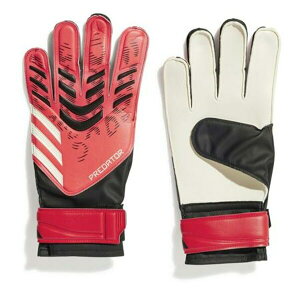 AfB_X Y TbJ[ X|[c Predator Training Goalkeeper Gloves Adults