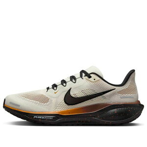 Nike �i�C�L �����Y �X�j�[�J�[ Soft Pearl/Desert Ochre/Fauna Brown/Velvet Brown �yNike Pegasus 41 'Coffee Bean' IH4455-047�z �T�C�Y US_10(28.0cm)