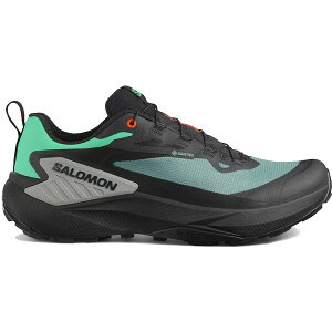 Salomon �T������ �����Y �X�j�[�J�[ �ySalomon Genesis Gore-Tex North Atlantic�z �T�C�Y US_9(27.0cm) North Atlantic/Black/Sharkskin