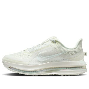 Nike �i�C�L ���f�B�[�X �X�j�[�J�[ �y(WMNS) Nike Pegasus Premium 'Peak White Pure Platinum' IO9918-100�z �T�C�Y US_6.5(23.5cm)
