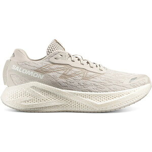 Salomon �T������ �����Y �X�j�[�J�[ �ySalomon Aero Glide 4 Silver Cloud�z �T�C�Y US_12(30.0cm) Silver Cloud/Silver Cloud