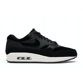 Nike ナイキ メンズ スニーカー 【Nike Air Max 1】 サイズ US_10.5(28.5cm) Rebel Skulls